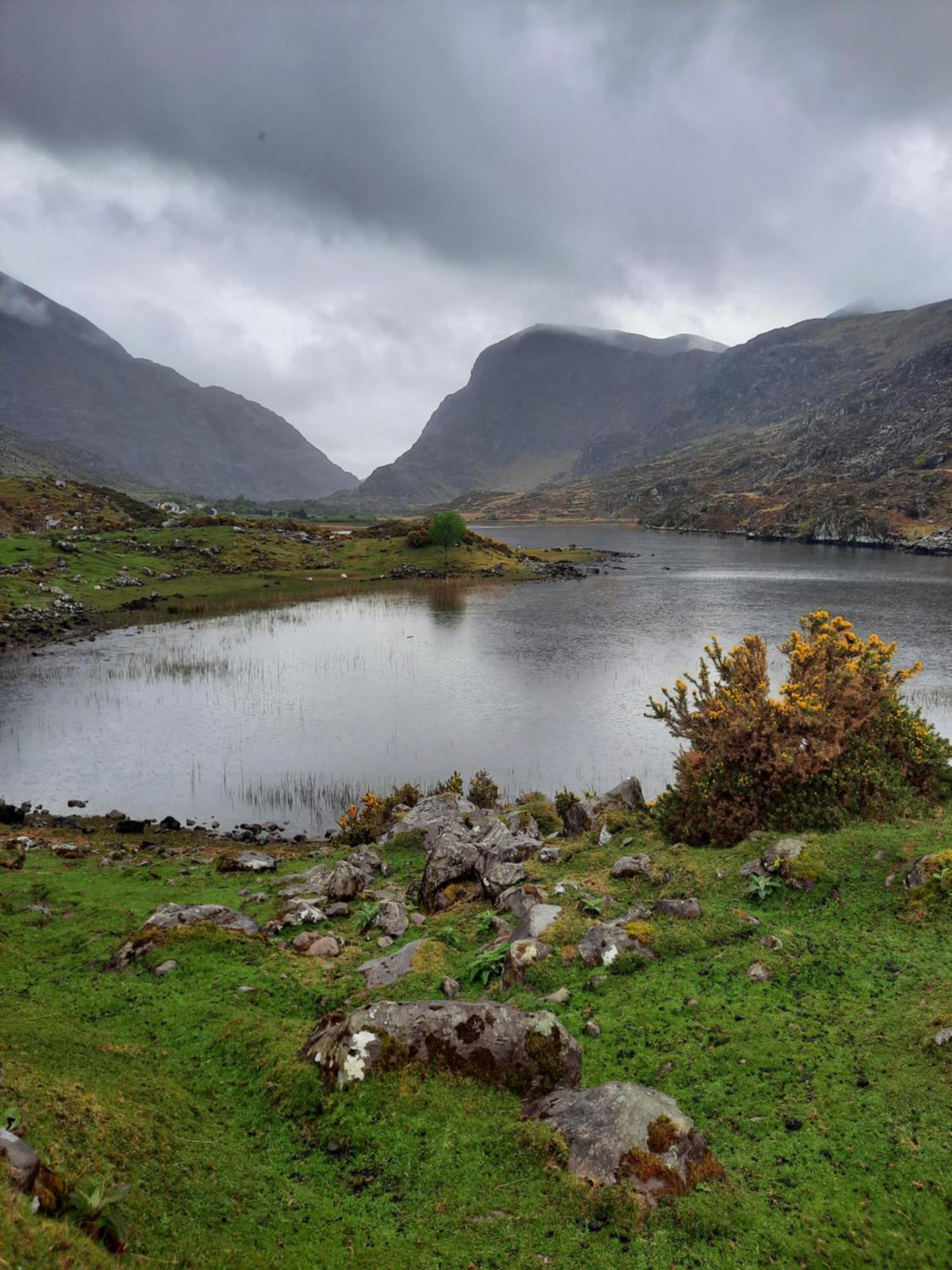 Colleen Bawn Cottage Gap Of Dunloe Kerry Laune Bridge Exteriér fotografie