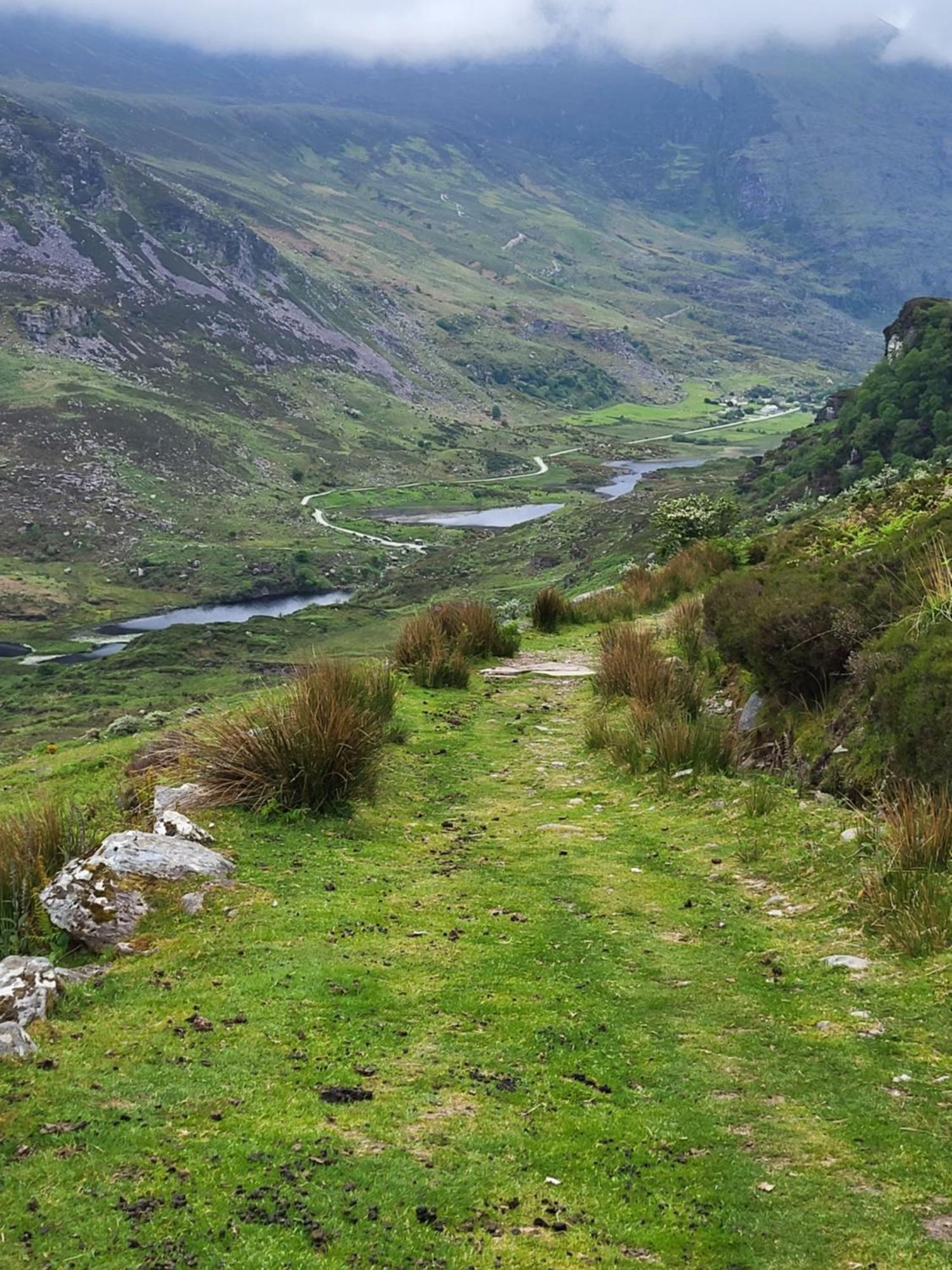 Colleen Bawn Cottage Gap Of Dunloe Kerry Laune Bridge Exteriér fotografie